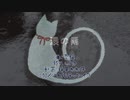 涙の雨/初音ミク