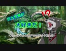 ヴァーチャルケモPWのデッキ紹介 ５