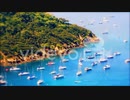 port_cros3_preview　藤井亮佑