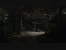 Night:夜景:2019/12/01(Sun)-12/07(Sat)