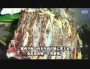 【 少しだけ 】　腐った給食　【 閲覧注意 】