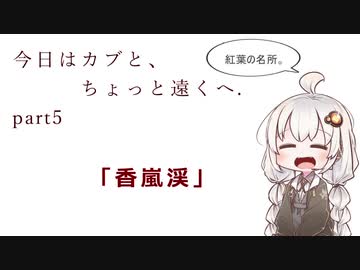 今日はカブと、ちょっと遠くへ。Part5.「香嵐渓」
