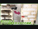 アリに「砂糖」を与えすぎた結果・・・。