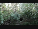 伝説の茂原・押日素掘隧道群シリーズ第1回～野本隧道・木生坊隧道