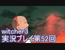 探し人を求めてwitcher3実況プレイ第52回