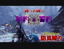 【MHW:IB】素人が縛りプレイをするとこうなる：制約と誓約【防具縛り】part２
