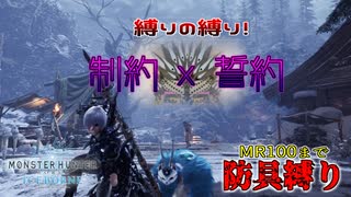 【MHW:IB】素人が縛りプレイをするとこうなる：制約と誓約【防具縛り】part２