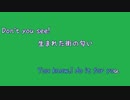 [歌詞素材Ａ] Don't you see! / ZARD (VER:KSN 歌詞：あり /　offvocal　ガイドメロディーあり)