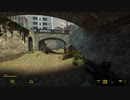 ダンディーのゲーム実況 [Half-life2]  part4