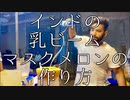 インドの乳ビームマスクメロンの作り方