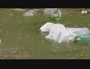 地下水汚染で1000年掛かる → 北海道の水源買収