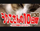 うりこさんの10日間 - 2019#30