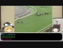 ゆっくり日本競馬史part28【二頭はプリキュア編】