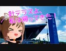 【車載適量】ちょっとラーメン食べに行ってみる１日目【ささら適量】