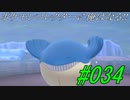ポケモンコレクターに俺はなる!!#034