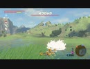 依頼を受けて、イワロックの投石でめっちゃ吹き飛んでみた