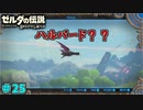 【続編決定記念】のんびりと伝説「ゼルダの伝説～ブレスオブザワイルド～」　＃25