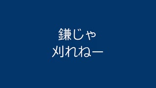 最高のTKG１　The road to Golden 'Rice with raw egg'!!!　ep1