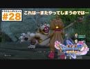着ぐるみ対決？トラおとこやばい…いろんな意味で…【ドラクエ11s3D#２8】サマディー出発〜ダーハルーネ到着。