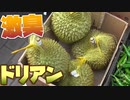 激臭！果物の王様ドリアンを１玉食べよう！