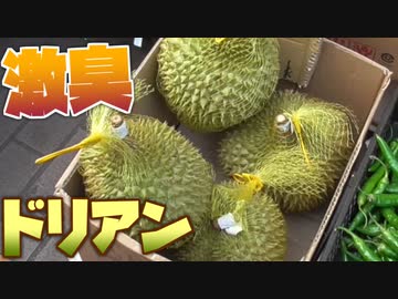 激臭！果物の王様ドリアンを１玉食べよう！