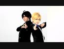 【Fate/踊ってみた】ヒバナ【蒼銀の王達】