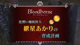 【Bloodborne】あかりちゃんで3デブマラソン.dbsps2