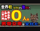 【韓国社会】捏造の男女比…恐怖の文化。子の性別にこだわってそこまでするか！？