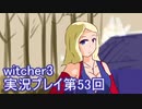 探し人を求めてwitcher3実況プレイ第53回