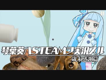 琴葉葵ハSTEAMヲ実況スル 歳末感謝編