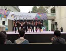 【わせおど】シュガーソングとビターステップ【踊ってみた】