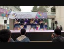 【わせおど】SPiCa【踊ってみた】