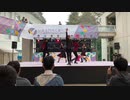 【わせおど】テオ【踊ってみた】