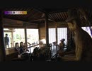 ちゃん24時間テレビ？「寺と仏像・三千院」