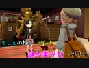 【実況】2人で一緒に「ポケモン剣盾」の旅　Part11