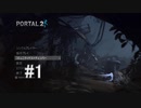 【portal2】入り口と出口で頭の体操第二弾 #1