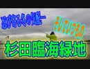 釣り動画ロマンを求めて 310釣目（杉田臨海緑地）