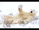 続・好きな音楽テーマ別うｐ・冰獣編