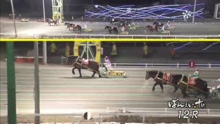 【日本記録タイ29連勝！】2019年12月16日帯広競馬12R OP-2 ホクショウマサル【ドージマファイターに並んだ！】