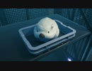 【実況】繋げて、繋がれ。 Part37【DEATH STRANDING】