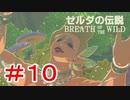 ゼルダ初心者とガチ勢のほのぼの伝説【ゼルダの伝説ブレスオブザワイルド実況：part10】