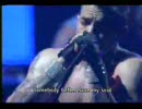 Red Hot Chili Peppers - Search and Destroy【US TOUR 2000】