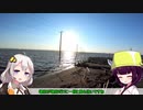 【ロードバイク】あかり・きりたんの自転車旅行EX　袖ヶ浦編