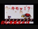 【ゲーム実況】ヨッシーアイランドで復帰します＃14【ヨッシーアイランド】