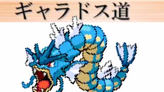 【ポケモン剣盾】ギャラドス道