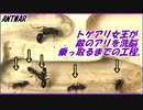 トゲアリ女王が敵のアリを洗脳して蟻の巣を乗っ取るまで。