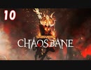 【Warhammer Chaosbane】ハイエルフの魔導士#10【実況】