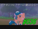 ポケモンコレクターに俺はなる!!#036