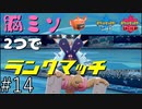 【ヒトム、ドヒド、ブシン】脳みそ2つでランクマッチ part14【ポケモン剣盾】二人実況