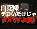 #17【隻狼】睡眠時間を削ってやりまくった社会人の隻狼【ハラショー】